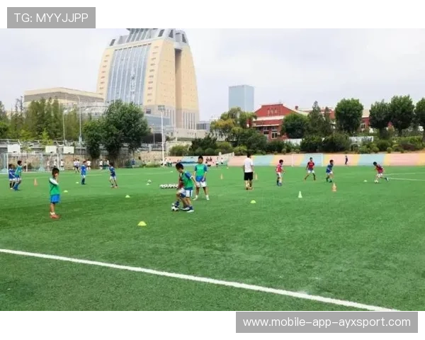 大连梯队青训排名提升，区域青训生态改善明显